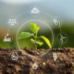 Ekologia w usługach sprzątania EU Ecolabel