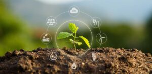 Ekologia w usługach sprzątania EU Ecolabel